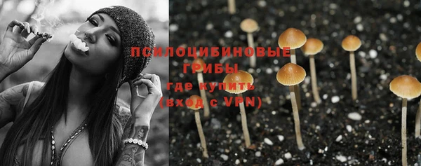 мет Новодвинск